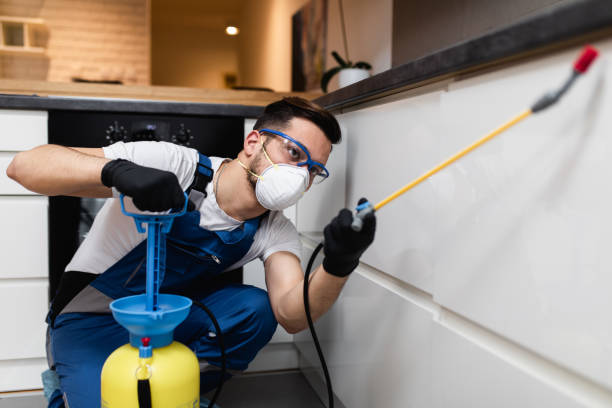 Best Pest Prevention Services  in Percy, IL