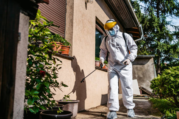 Flea Control Services in Percy, IL