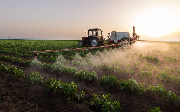 Best Mosquito Control Services  in Percy, IL