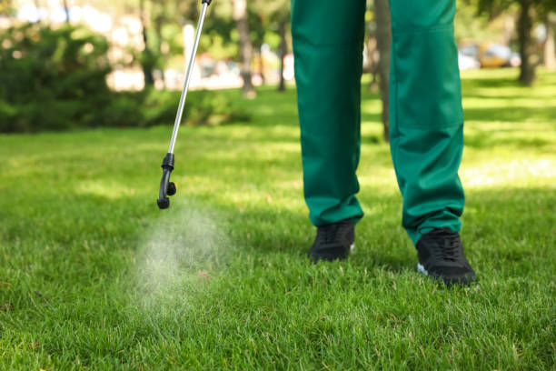 Best Residential Pest Control  in Percy, IL