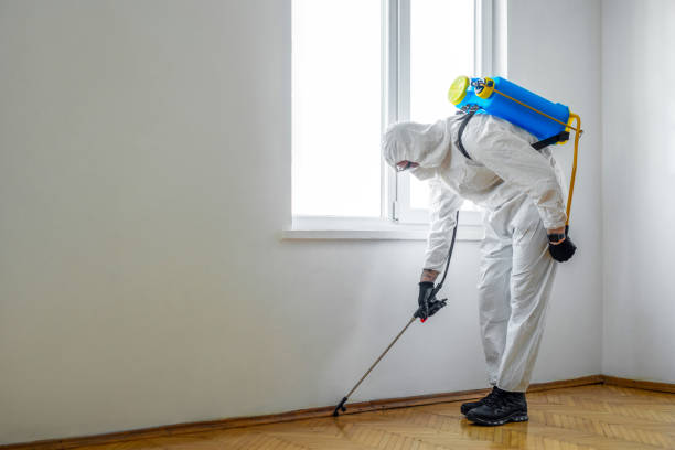 Best Affordable Pest Control Services  in Percy, IL