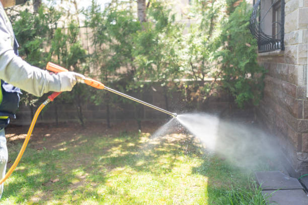 Best Emergency Pest Control  in Percy, IL