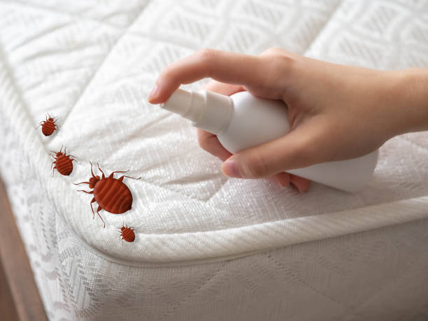 Best Local Pest Control Services  in Percy, IL