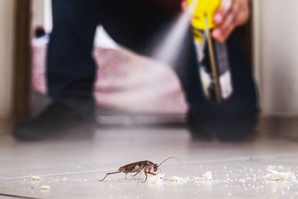 Pest Prevention Services in Percy, IL