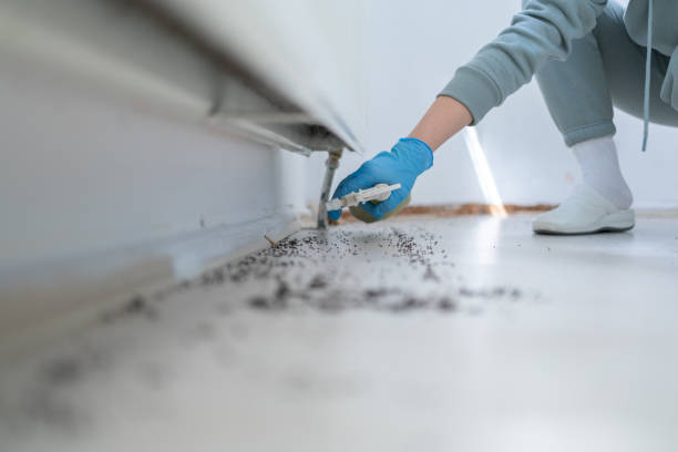 Best Commercial Pest Control Services  in Percy, IL